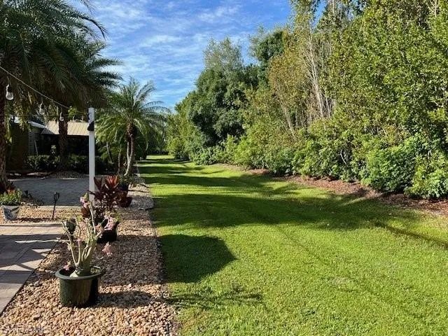 View of grassy yard