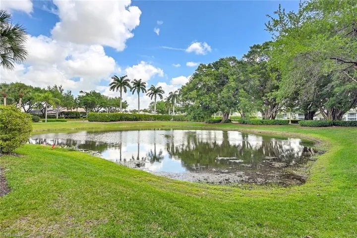 Backyard view/pond