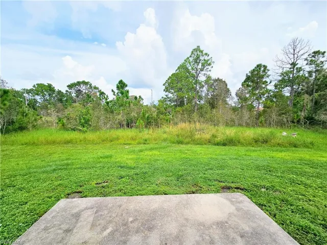View of grassy yard