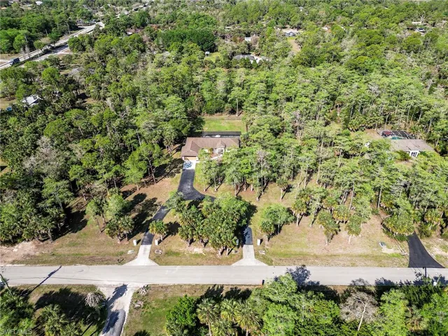 Aerial view of a forest