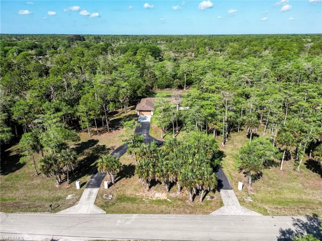 Aerial view of a forest