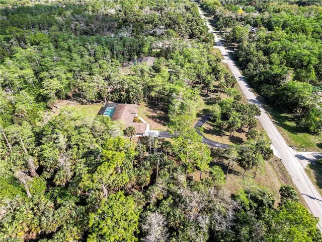 Drone / aerial view of a forest