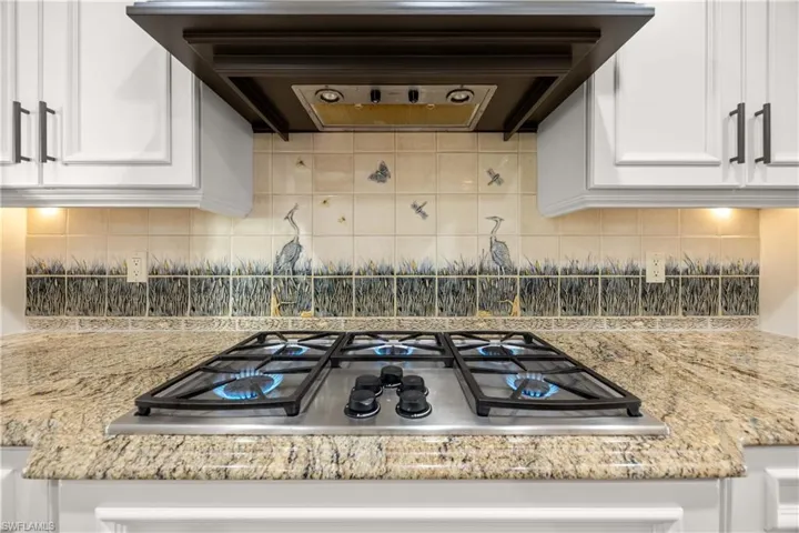 Kitchen with ventilation hood, stainless steel gas stovetop, and tasteful backsplash