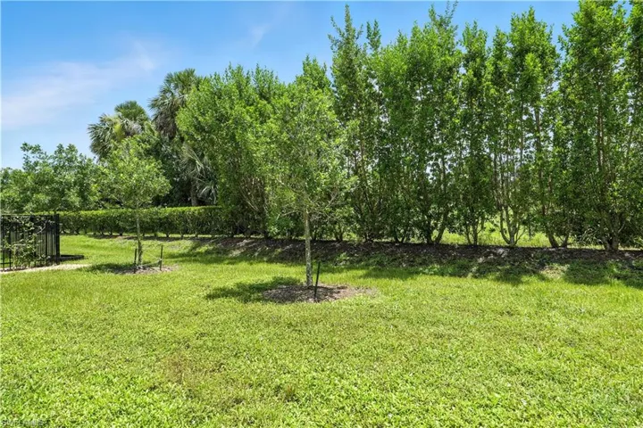 Greenspace
