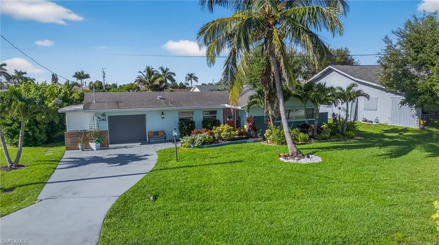 Palm trees & house