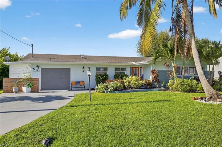 Palm trees & house
