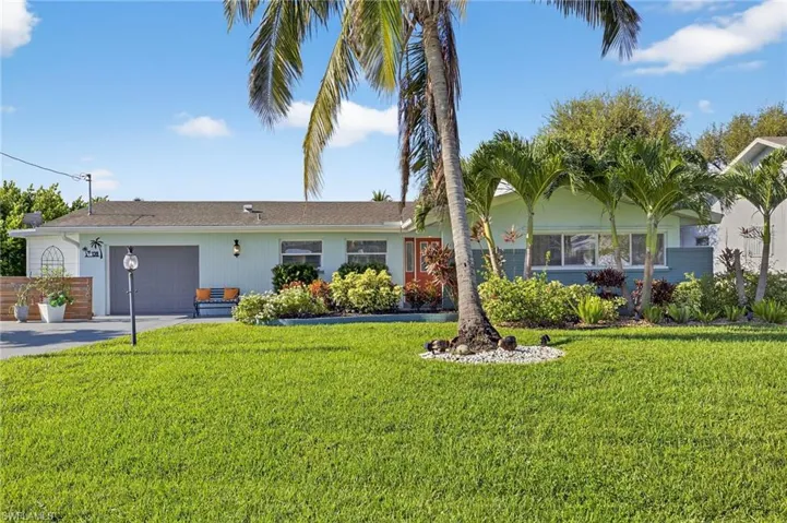 house & palm trees