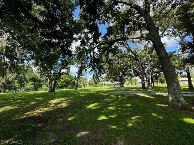 Community Dog Park