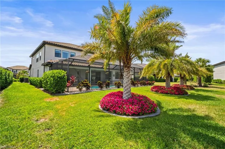 Back Yard Area