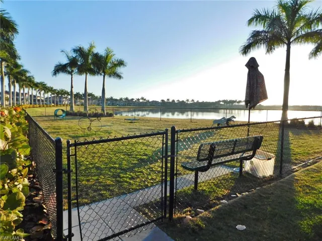 Dog Park