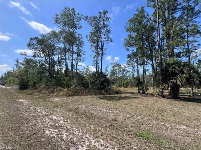 1317 Washington Ave, Lehigh Acres, Florida 33972