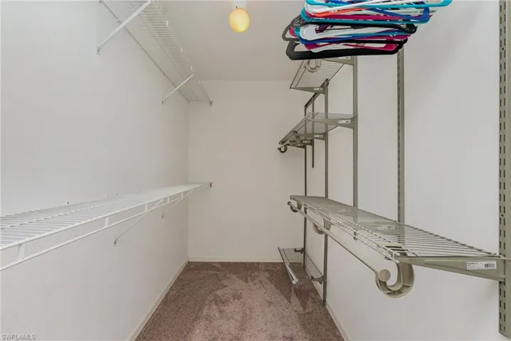 Walk in closet with light colored carpet