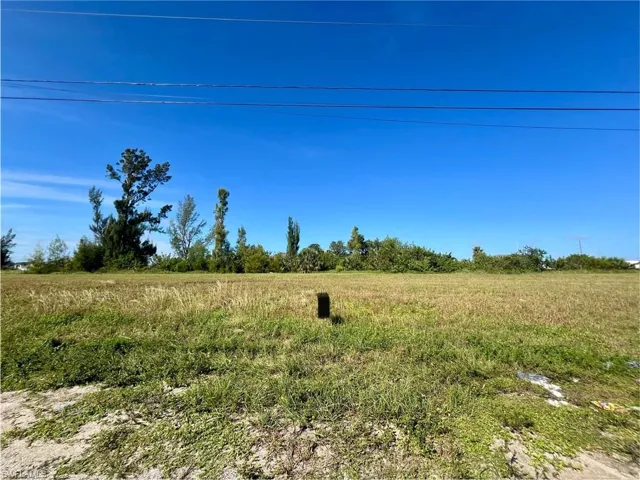 View of local wilderness featuring rural landscape