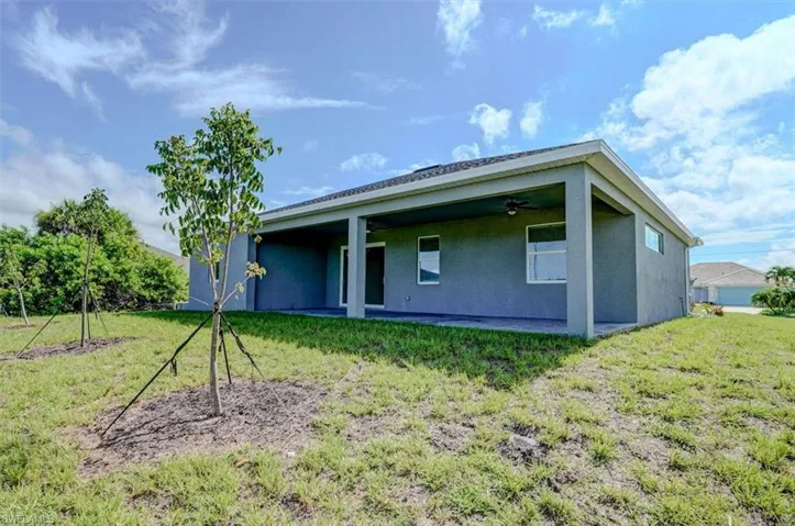 Back of house featuring a patio, a yard, and ceiling fan