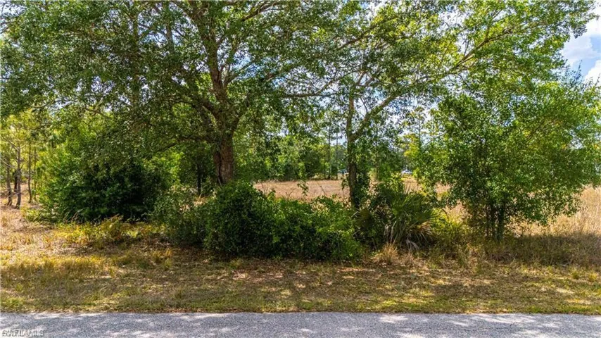1407 Robert Ave, Lehigh Acres, Florida 33972