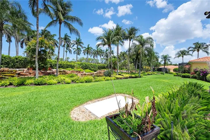 Back yard view