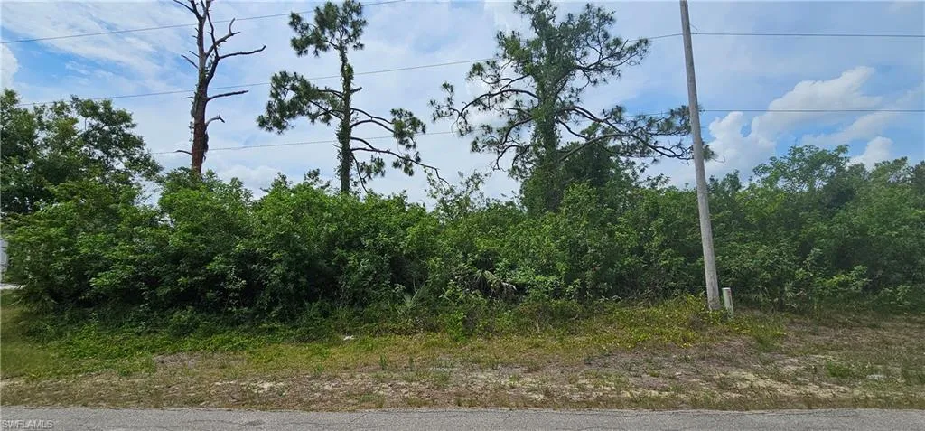 746  Chattman E ST, Lehigh Acres, FL 33974