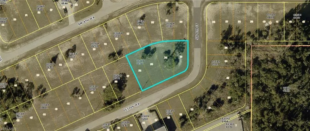 Plat map. Outlining the boundaries and parcel identification of the property