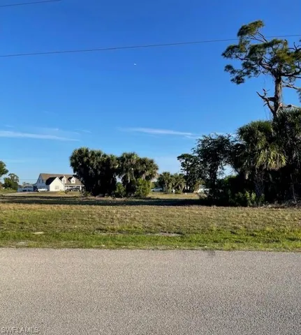 Expansive vacant lot featuring natural grass and mature palm trees