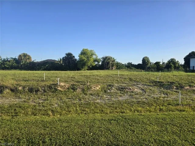 Expansive grass lot with a clear sky backdrop and established perimeter foliage