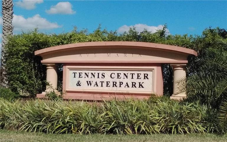 Ave Maria Tennis Center and Water Park