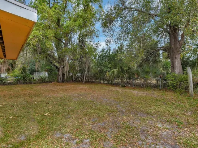 Huge Backyard