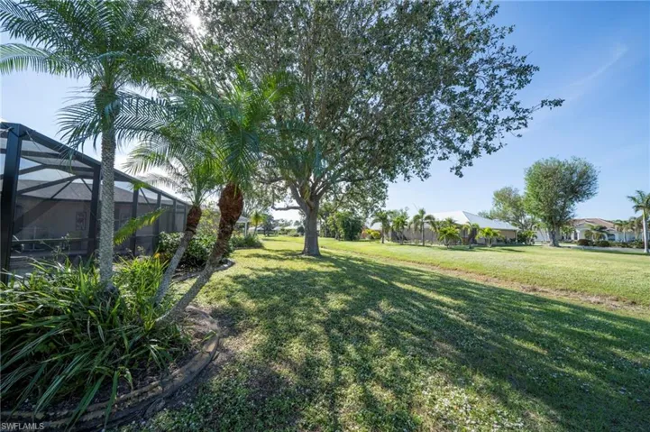 greenbelt area behind home