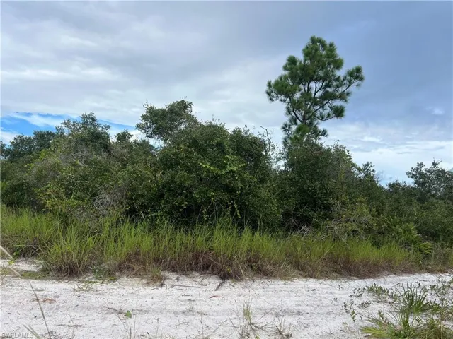 4187 E 27th St, Alva, Florida 33920