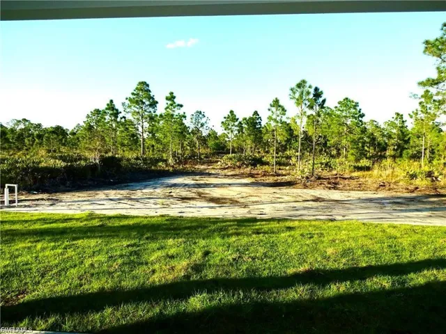 View of grassy yard