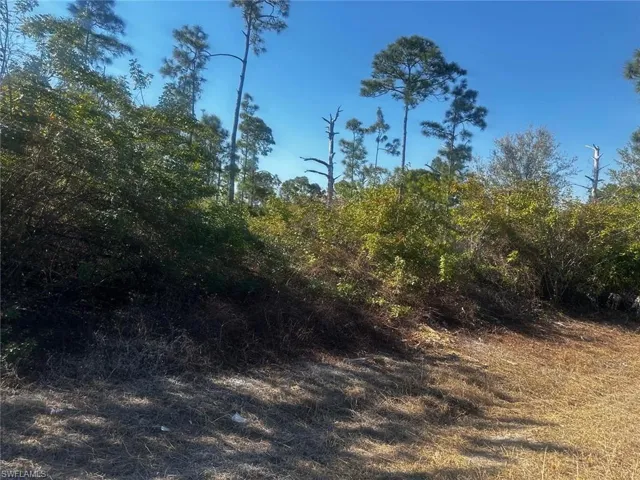 460 Lackey Ave S, Lehigh Acres, Florida 33974
