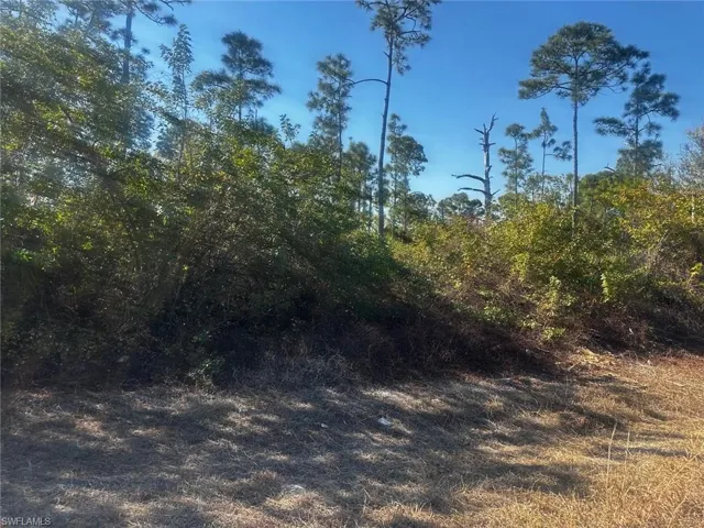 460 Lackey Ave S, Lehigh Acres, Florida 33974