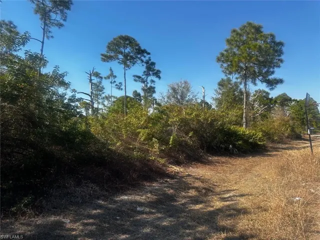 460 Lackey Ave S, Lehigh Acres, Florida 33974