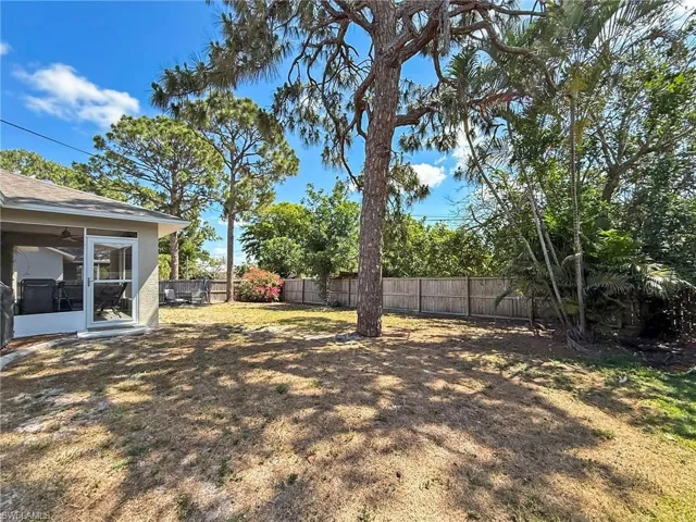 Completely fenced Yard with Wonderful Pine Trees
