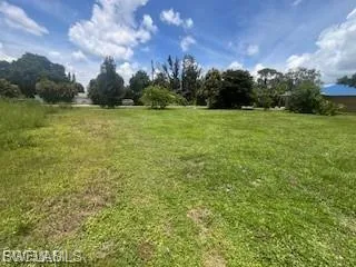 View of green lawn