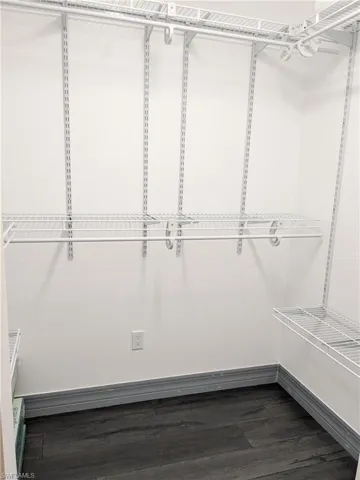 Walk in closet featuring dark hardwood / wood-style floors