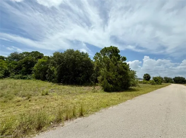 Residential lot featuring diverse natural vegetation and a paved road frontage