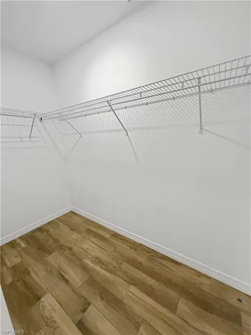 Spacious closet featuring wood finished floors