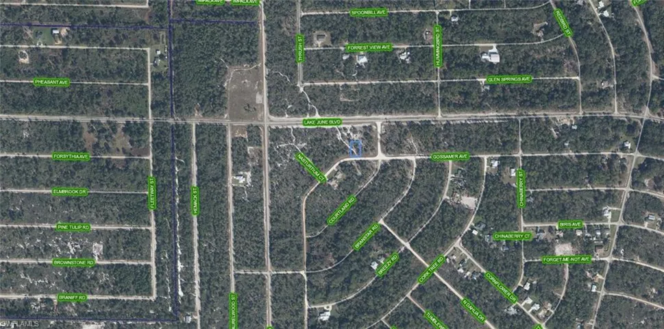 3324 Gossamer Ave, Lake Placid, Florida 33852