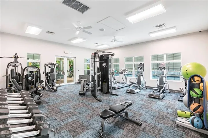 Exercise room with french doors, ceiling fan, carpet, and a wealth of natural light