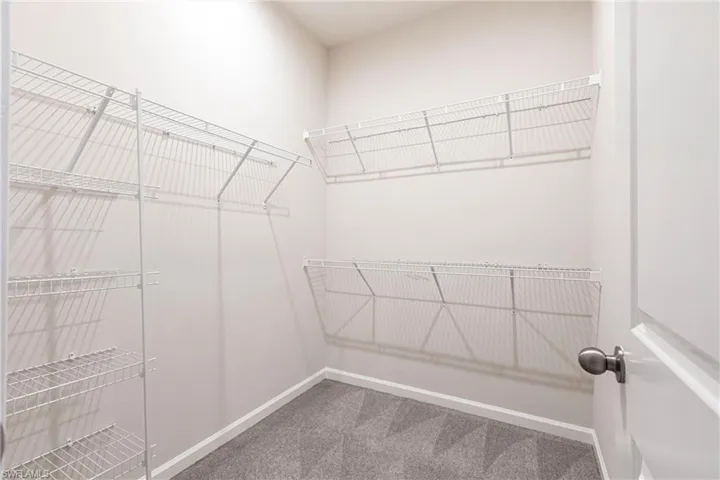 Spacious closet featuring carpet flooring