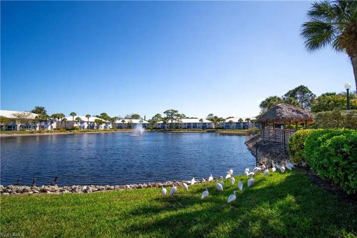 Pavilion Club Lake & Fountain