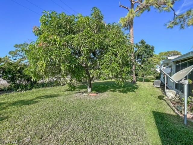 Fruit trees