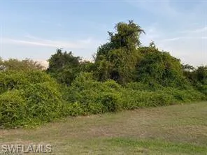 View of nature