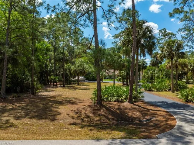 Long driveway - provides lots of privacy!
