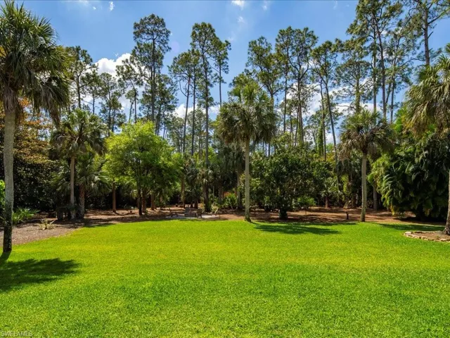 Large backyard