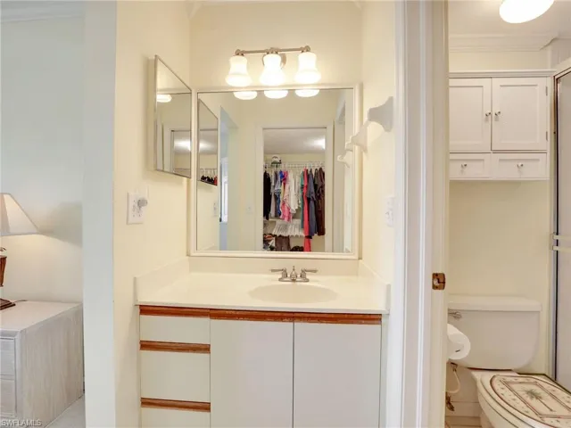 Single vanity & sink