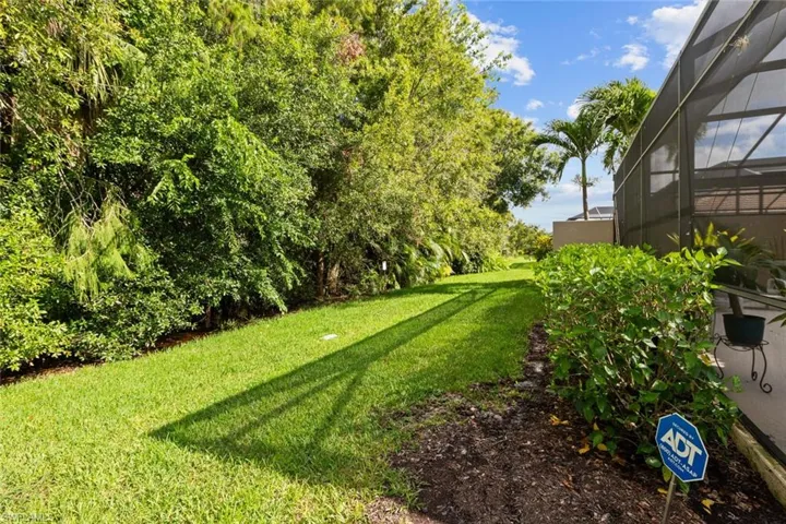 Rear yard