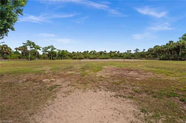 backyard and pastures