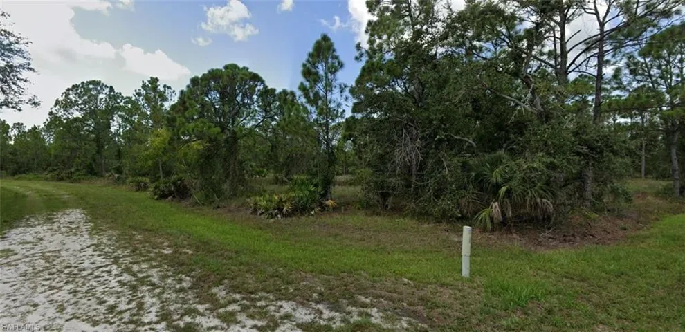 View of local wilderness