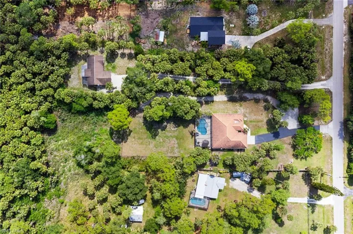 Property line goes back past the trees in rear of property.
